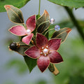 Handmade Silk Velvet Rose Hair Clip - Artisan Floral Barrette for Weddings & Bridal Looks